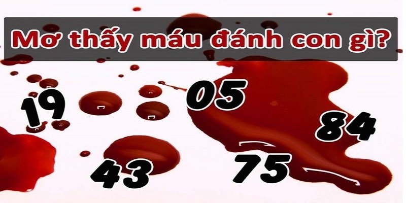 Mơ thấy máu nên đánh con số nào